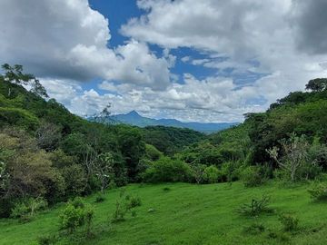 Rancho en Venta 150 hectáreas, Michoacan