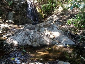 Rancho en Venta 150 hectáreas, Michoacan