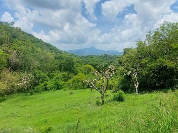 Rancho en Venta 150 hectáreas, Michoacan