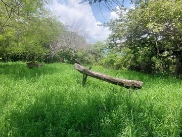 Rancho en Venta 150 hectáreas, Michoacan