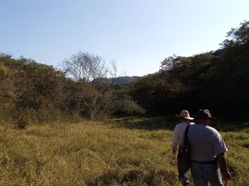 Rancho en Venta 150 hectáreas, Michoacan