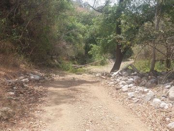 Rancho en Venta 150 hectáreas, Michoacan