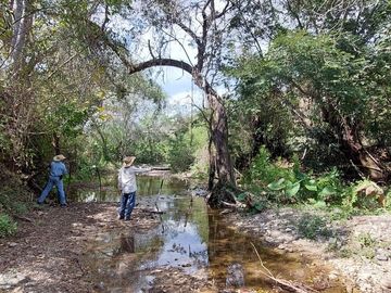 Rancho en Venta 150 hectáreas, Michoacan