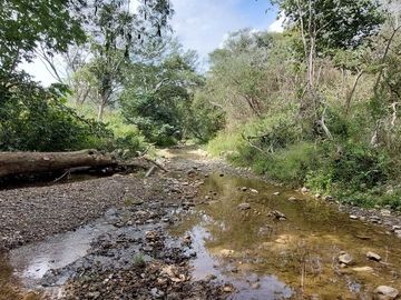 Rancho en Venta 150 hectáreas, Michoacan