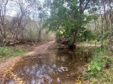 Rancho en Venta 150 hectáreas, Michoacan