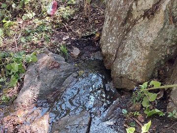 Rancho en Venta 150 hectáreas, Michoacan