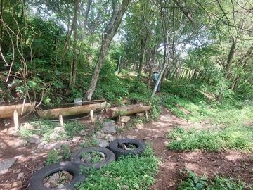 Rancho en Venta 150 hectáreas, Michoacan