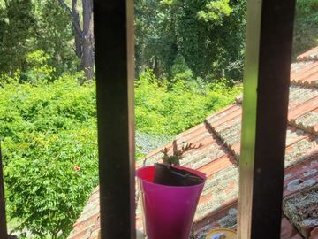 Casa tipo loft