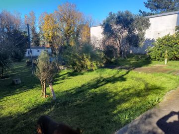 LOTE DE 2 HECTAREAS CON 2 GALPONES Y 3 CASAS EN LA GLORIA DE LA PELEGRINA