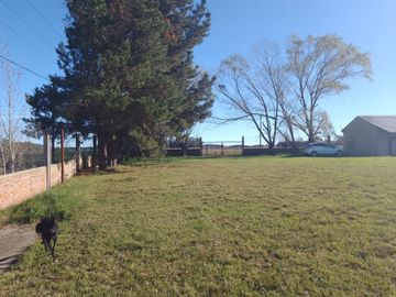 LOTE DE 2 HECTAREAS CON 2 GALPONES Y 3 CASAS EN LA GLORIA DE LA PELEGRINA