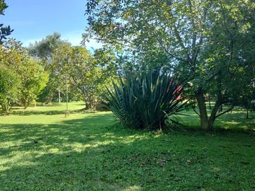 LOTE DE 2 HECTAREAS CON 2 GALPONES Y 3 CASAS EN LA GLORIA DE LA PELEGRINA