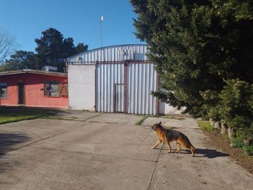 LOTE DE 2 HECTAREAS CON 2 GALPONES Y 3 CASAS EN LA GLORIA DE LA PELEGRINA