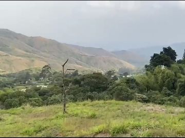 Se venden 5 lotes en medio Dapa