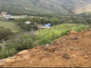 Se venden 5 lotes en medio Dapa