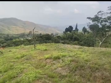 Se venden 5 lotes en medio Dapa