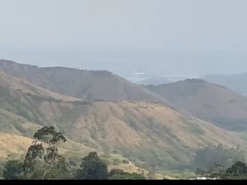 Se venden 5 lotes en medio Dapa