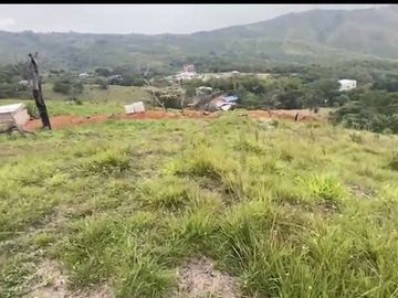 Se venden 5 lotes en medio Dapa