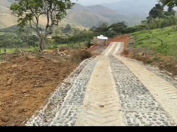 Se venden 5 lotes en medio Dapa