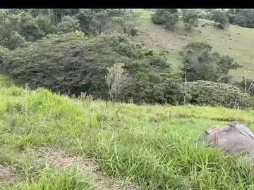 Se venden 5 lotes en medio Dapa