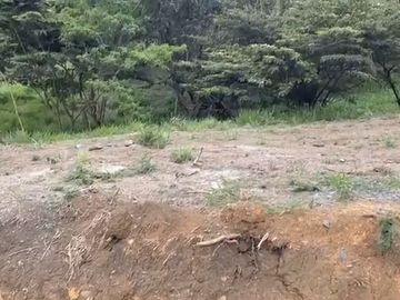 Se venden 5 lotes en medio Dapa