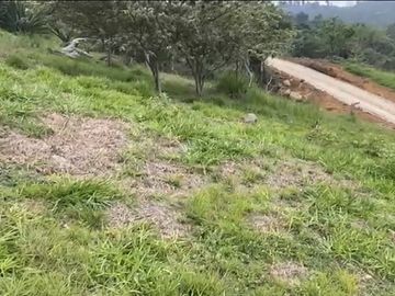 Se venden 5 lotes en medio Dapa