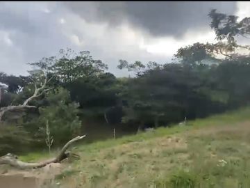 Se venden 5 lotes en medio Dapa
