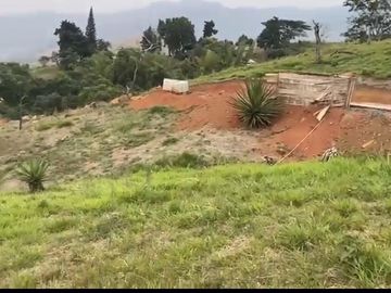 Se venden 5 lotes en medio Dapa