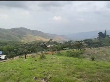 Se venden 5 lotes en medio Dapa