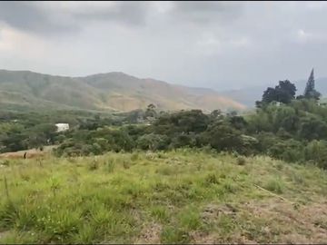 Se venden 5 lotes en medio Dapa