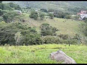 Se venden 5 lotes en medio Dapa