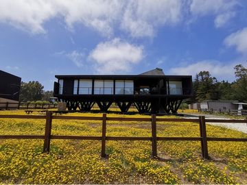 Casa familiar en Pichilemu, surf y naturaleza.