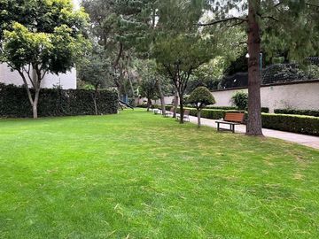 Lomas de Chapultepec