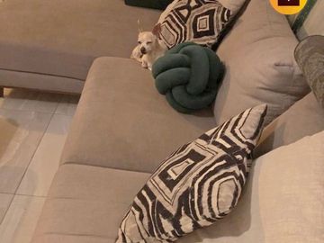 #Venta Depto. super lindo, Sta. María la Ribera, CDMX