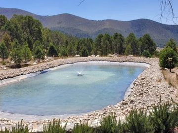 Hermosa Quinta en Bosque Boreal, La Efigenia, Carr. a San Antonio de las Alazanas, Coahuila