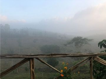 FINCA CON CASA DE 2 PISO / CAPIRA / 38 HECTAREA / RIO Y OJO DE AGUA