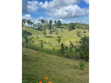 FINCA CON CASA DE 2 PISO / CAPIRA / 38 HECTAREA / RIO Y OJO DE AGUA