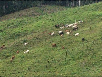 FINCA CON CASA DE 2 PISO / CAPIRA / 38 HECTAREA / RIO Y OJO DE AGUA
