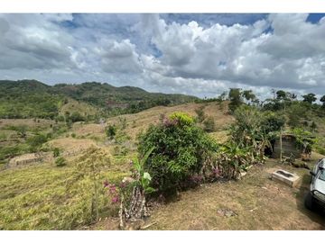 FINCA CON CASA DE 2 PISO / CAPIRA / 38 HECTAREA / RIO Y OJO DE AGUA