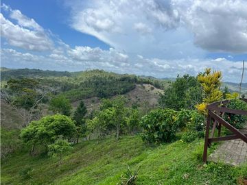 FINCA CON CASA DE 2 PISO / CAPIRA / 38 HECTAREA / RIO Y OJO DE AGUA