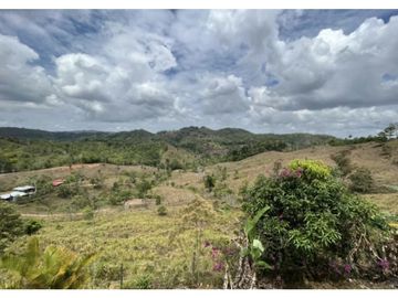 FINCA CON CASA DE 2 PISO / CAPIRA / 38 HECTAREA / RIO Y OJO DE AGUA