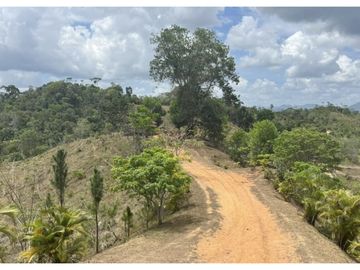 FINCA CON CASA DE 2 PISO / CAPIRA / 38 HECTAREA / RIO Y OJO DE AGUA