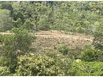 FINCA CON CASA DE 2 PISO / CAPIRA / 38 HECTAREA / RIO Y OJO DE AGUA