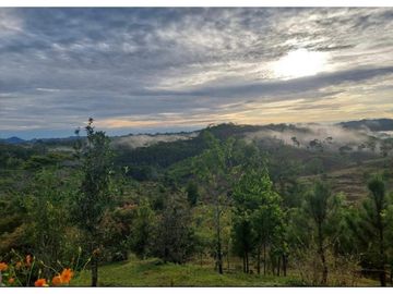 FINCA CON CASA DE 2 PISO / CAPIRA / 38 HECTAREA / RIO Y OJO DE AGUA