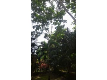CLAYTON / EMBASSY GARDENS / DOS NIVELES / BALCON / 3 HABITACION