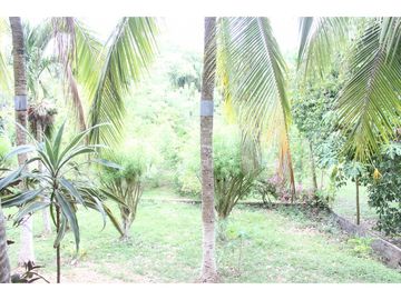 VENDEMOS CASA FINCA EN TURBACO