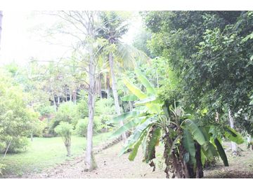 VENDEMOS CASA FINCA EN TURBACO