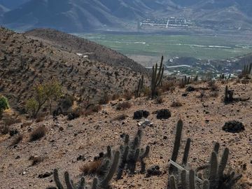 Parcela en venta en VICUÑA