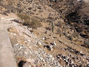 Parcela en venta en VICUÑA