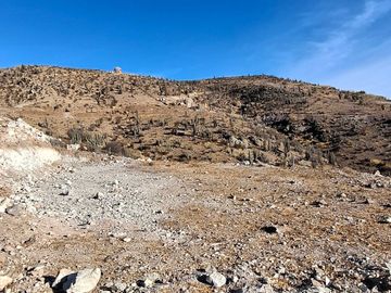 Parcela en venta en VICUÑA