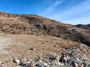Parcela en venta en VICUÑA